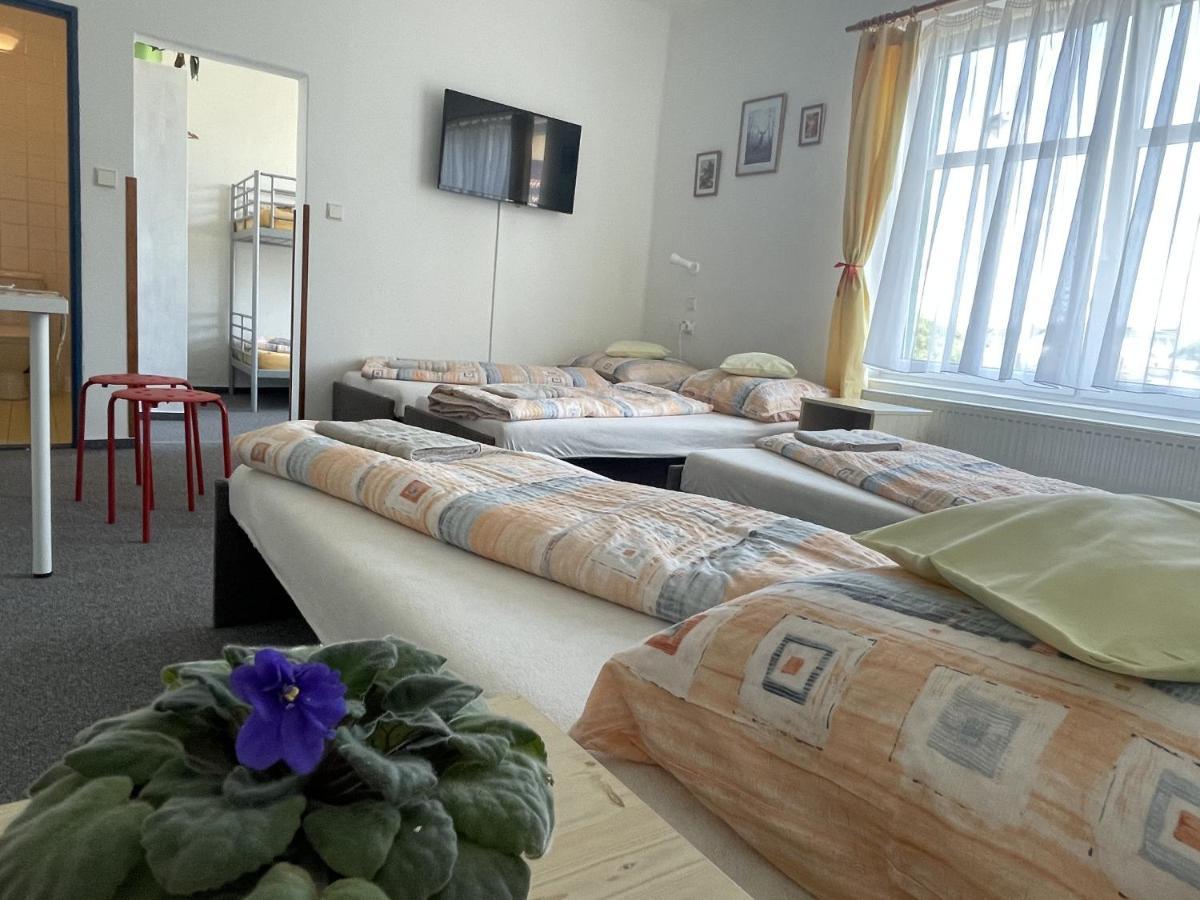 Penzion Slunecnice Dvůr Králové nad Labem Exterior foto